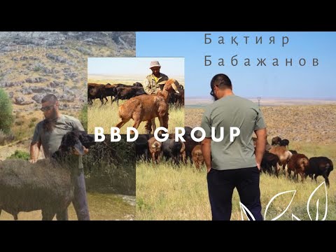 Видео: Бахтияр Бабажанов шаруа қожалығы