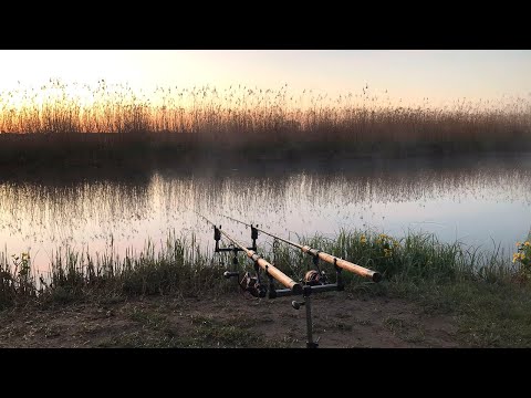 Видео: Фидерная рыбалка на линя, Приехал на новое место и пошла раздача! Tench Fishing  | Līņi cope kanālu