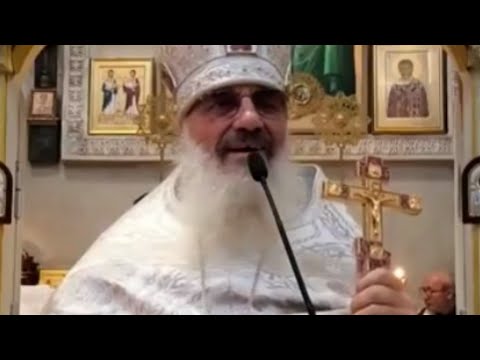 Видео: 01.11.2025Слово Архимандрита Амвросия после Божественной Литургии.Димитриевская родительская суббота