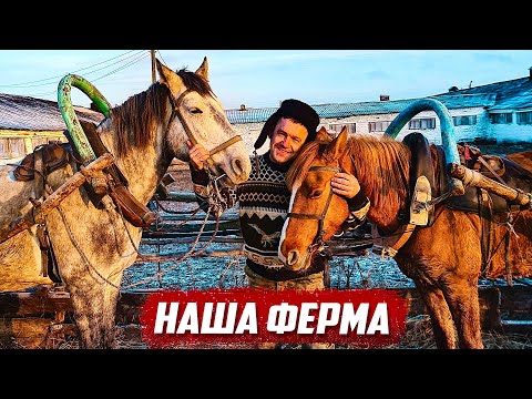 Видео: Со времён СССР на ферме ничего не изменилось! | Орловская обл, Колпнянский р/н д.Удеревка
