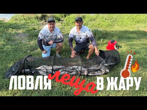 Видео: ЛОВЛЯ ФИДЕРОМ ЛЕЩА В ЖАРУ! РЫБАЛКА И ОТДЫХ В КРУГУ ДРУЗЕЙ.