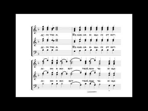 Видео: 102 псалом Толстокулаков