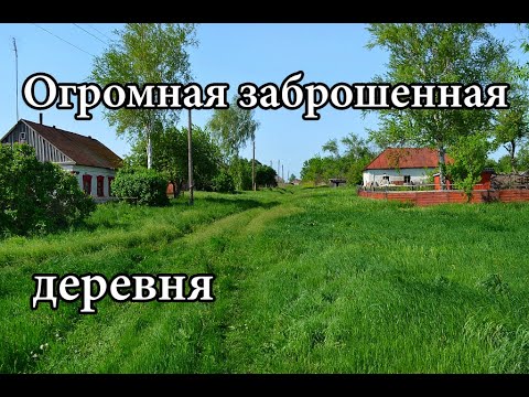 Видео: ОГРОМНАЯ ЗАБРОШЕННАЯ ДЕРЕВНЯ ПОСРЕДИ ПОЛЕЙ. УДИВИЛИСЬ НАХОДКЕ. ЧАСТЬ 1