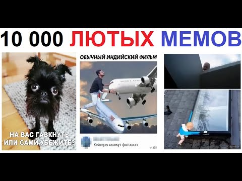 Видео: 10 000 Лютых МЕМОВ. МЕГАПОДБОРКА МЕМОВ с канала МАКСА МАКСИМОВА