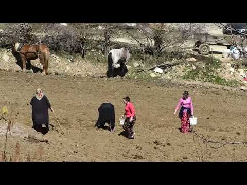 Видео: АДЕМ И МЕХМЕД  ОТ СЕЛО ЛЪЖНИЦА ИСПАЛНЯВАТ ПЕСЕНТА - СТИГА ШАТАЙ ФАТМЕ МОРИ
