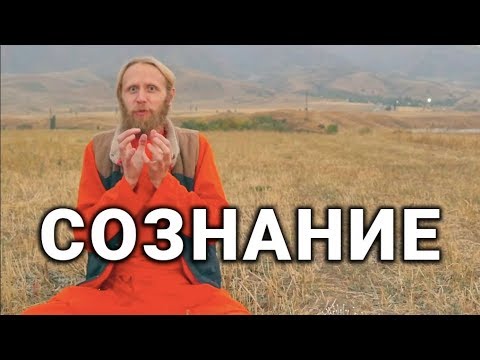 Видео: Сознание