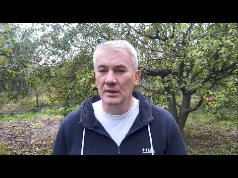 Видео: "Фламінго" не буде, "томагавків" також. Буде продемонстровано силу Америки
