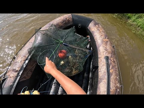 Видео: ПОСТАВИЛ РАКОЛОВКИ И БЫЛ УДИВЛЁН НА ПРОВЕРКЕ!!! В ПОИСКАХ КРУПНОГО РАКА...