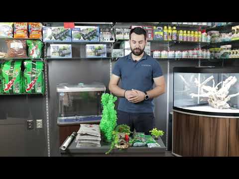 Видео: Монтаж, аранжиране и стартиране на сладководен аквариум RS 600B.