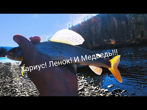 Видео: Водомётный поход на Терсь!!! Рыбалка! Медведь! Хариус! Ленок!!!