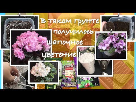 Видео: Грунт для фиалок. Грунт для фитильного полива. Для начинающих. Первый шаг к шапочному цветению.