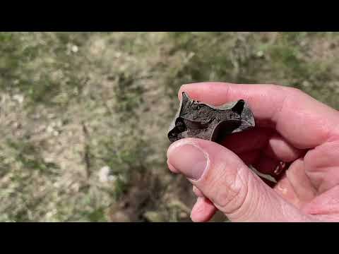 Видео: Копаем в Белгородской области ! С эквинокс 900