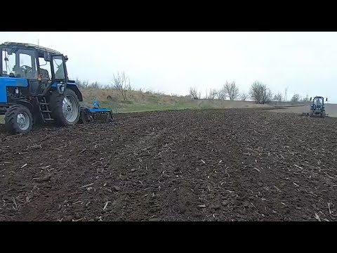 Видео: 🚜 МТЗ 82.1 дискує , а 🚜 МТЗ 892 слідом культивує .