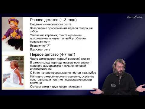 Видео: Дробышевский С.В. - Антропология - 14. Возрастная и конституционная антропология