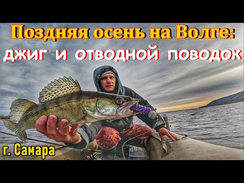 Видео: ЛОВЛЯ СУДАКА И БЕРША ПОЗДНЕЙ ОСЕНЬЮ НА ВОЛГЕ/ РЫБАЛКА НА СПИННИНГ/ ОТВОДНОЙ ПОВОДОК И ДЖИГ/ Г.САМАРА