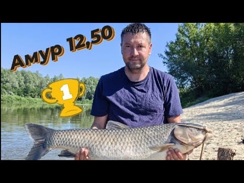 Видео: Отдых и рыбалка на природе. Поймали белого амура.