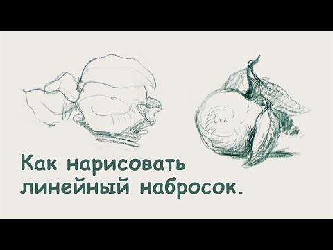 Видео: Как нарисовать ЛИНЕЙНЫЙ НАБРОСОК? [Елизавета Светлая]