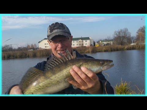 Видео: я поймал судака на 1500 кг