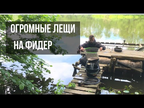 Видео: ТРОФЕЙНЫЕ ЛЕЩИ! Фидерная рыбалка на Осиповичском водохранилище