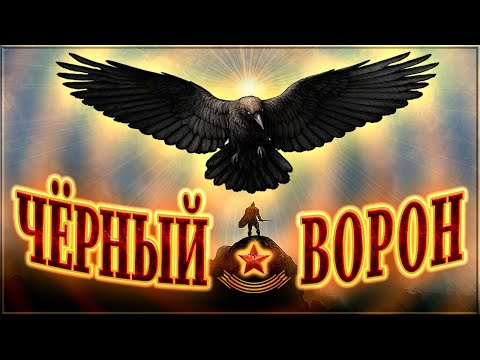 Видео: Песня Чёрный Ворон в мужском исполнении. ВСЕ КУПЛЕТЫ! Аккорды и текст песни.