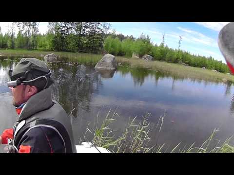 Видео: Кроулер Lucky Craft Keroll Max - ловля среди травы.