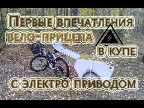 Видео: Электровелосипед + Велоприцеп.