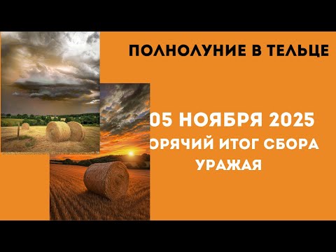 Видео: Полнолуние  в тельце 05  ноября  2025- горячие финансовые    и любовные  разборки поле сбора урожая