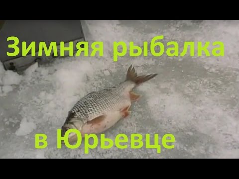 Видео: Диалоги о рыбалке - 210- Зимняя рыбалка в Юрьевце, ловля белой рыбы.