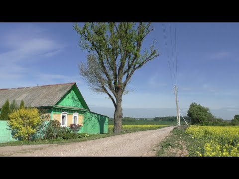 Видео: В Деревне Беларуси. Жизнь без Спешки и в Удовольствие