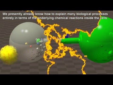 Видео: Философия физики