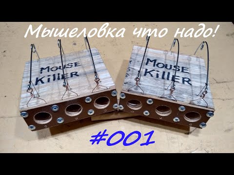 Видео: Самая грамотная мышеловка. Mouse Killer.