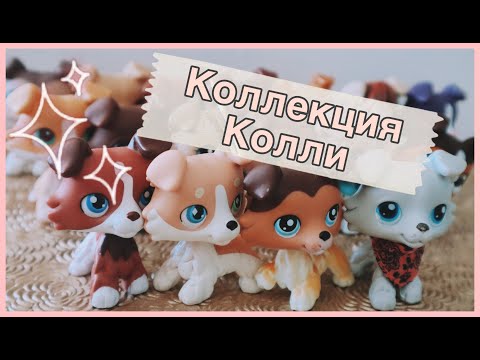 Видео: LPS МОЯ КОЛЛЕКЦИЯ КОЛЛИ (ПОЧТИ СОБРАЛА ИХ ВСЕХ!)