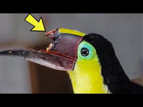 Видео: ▽ На что способен 3Д принтер