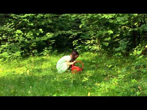 Видео: Господь - Пастир мій