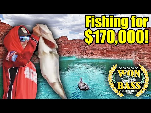 Видео: «Рыбалка в пустыне» и выигрыш 170 000 долларов... Мы в пятерке лучших!!!