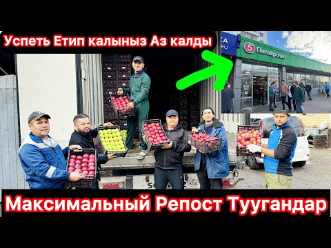 Видео: Жаныбек Ака Жооп берди#Хейтерлерге🆘МОСКВАДА БААРЫ КОРСУН#20 тонна Алма келди Ноокаттан#рекомендации