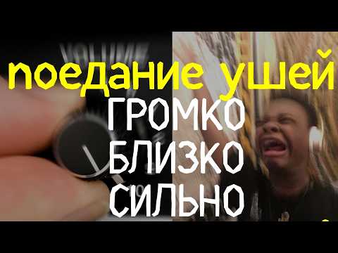 Видео: ПРЕМИАЛЬНОЕ ПОЕДАНИЕ УШЕК АСМР