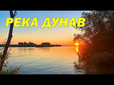 Видео: ШАРАНИ на ДУНАВА - МОНТАЖИ и РИБОЛОВ с ФИДЕР