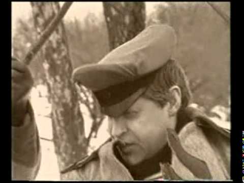 Видео: Аксиния