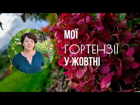 Видео: Сад без морозів — дивовижний результат!
