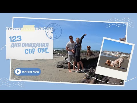 Видео: Ждем дату CBP ONE уже 123 дня. Сколько еще предстоит ждать - неизвестно.