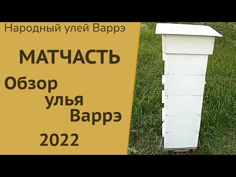 Видео: Народный улей Варрэ. Улей Варрэ изнутри | Полный обзор. Достоинства и недостатки