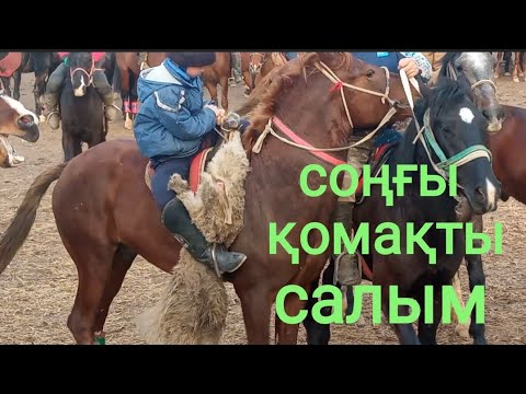 Видео: "@"көкпар 2023  08.01.2023 Қақпақ бата той көкпар