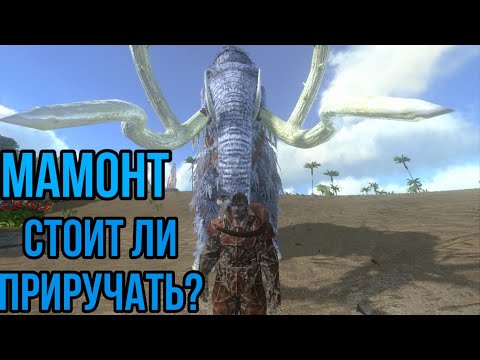 Видео: Мамонт ARK MOBILE | Стоит ли приручать ? | Арк Мобайл Мамонт | Арк Мобайл