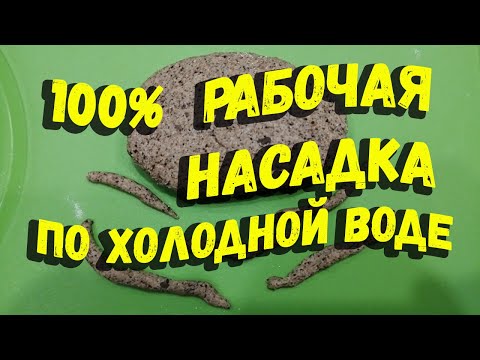Видео: Эффективная насадка при ловле в холодной воде