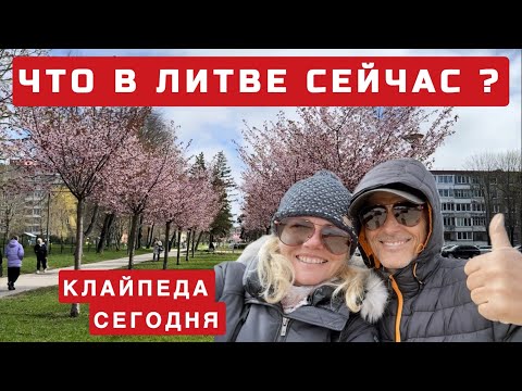 Видео: Приехали в Литву. А здесь такое. Последние новости из Клайпеды. #клайпеда #литва