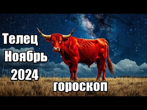 Видео: ТЕЛЕЦ - ГОРОСКОП НА НОЯБРЬ 2024 ♉