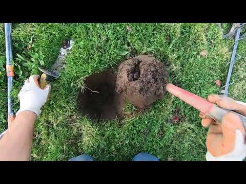 Видео: АКЦИЯ "РАСКОПКИ В РЕЖИМЕ ЖИВОГО ДНЯ"! Раскапывайте неудобные предметы, и вы будете вознаграждены....