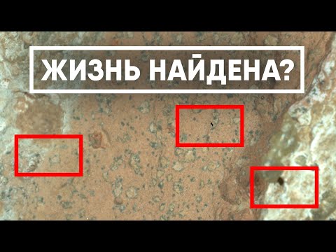 Видео: Perseverance подтвердил жизнь на Марсе?