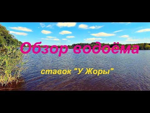 Видео: Рыбалка в Александровке ( ставок "У Жоры")